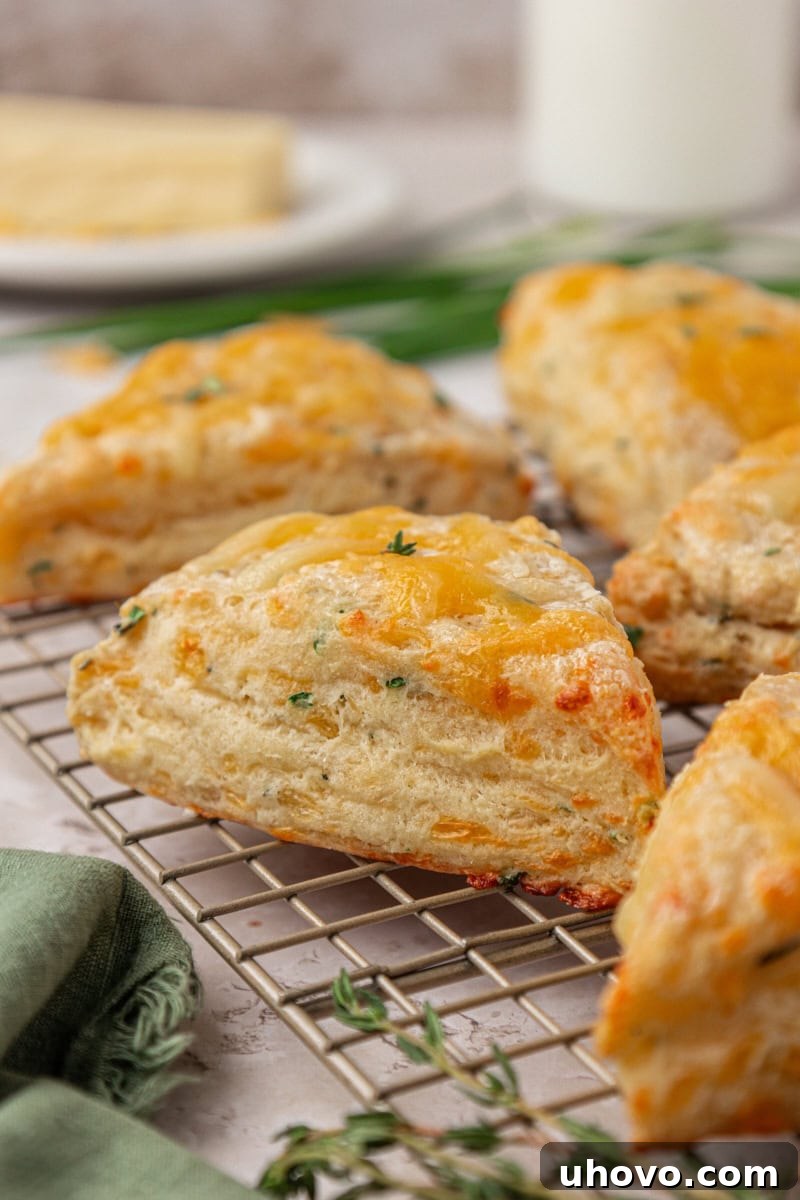 herb and cheese scones on a wire rack