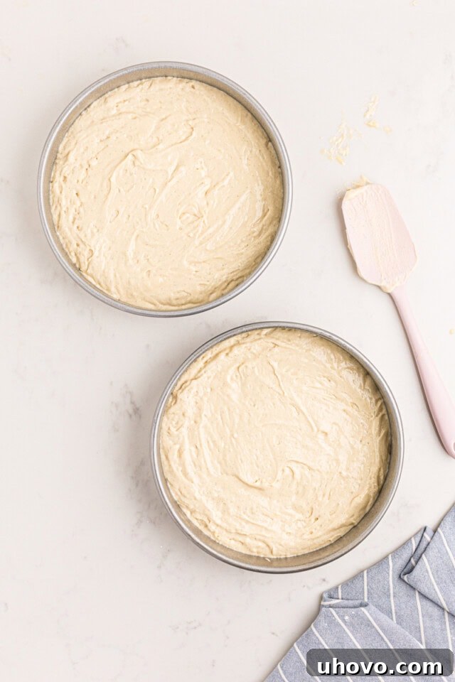 vanilla cake batter in two round cake pans before baking