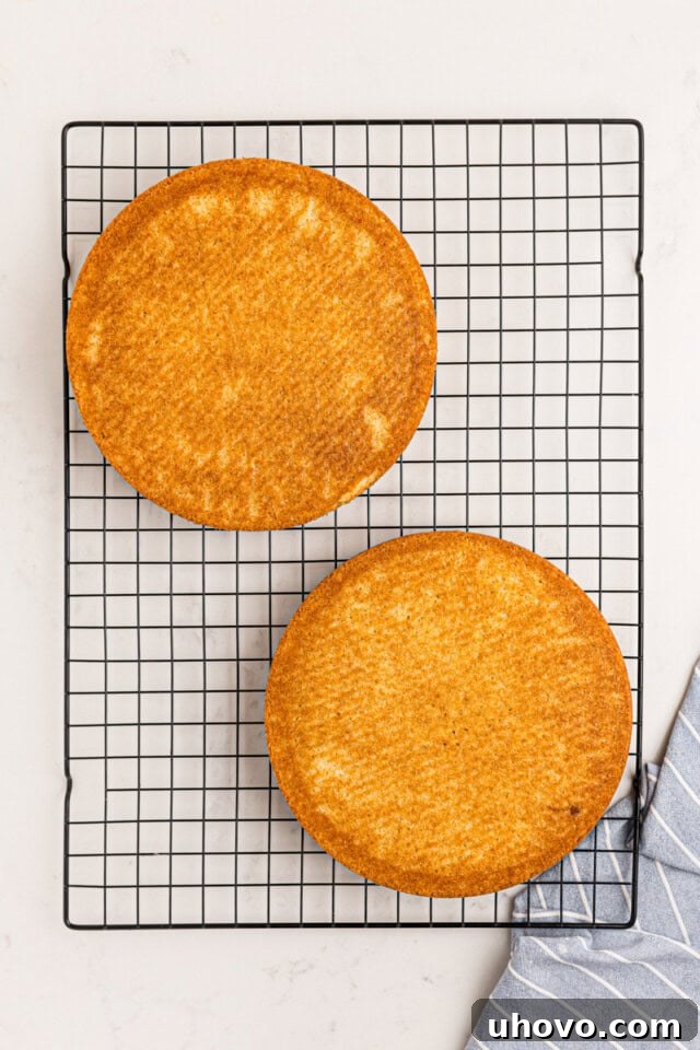 two freshly baked vanilla cake layers cooling on a wire rack