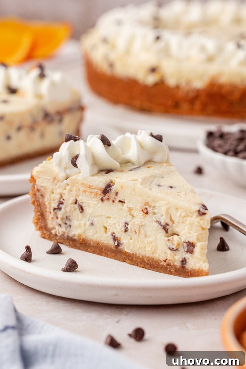 a slice of no-bake cannoli cheesecake filled with mini chocolate chips and orange zest
