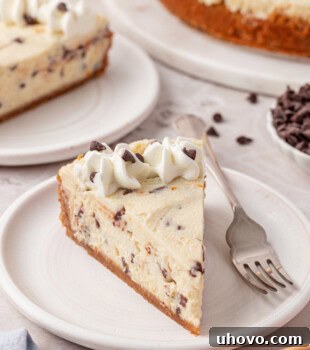 slice of no-bake cannoli cheesecake with visible chocolate chips and orange zest in the filling
