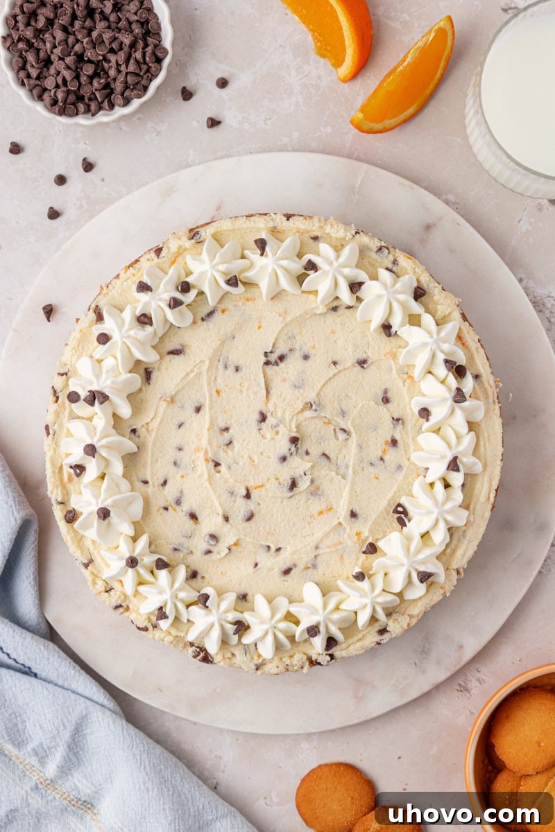 overhead view of chilled cannoli cheesecake garnished with whipped cream and mini chocolate chips