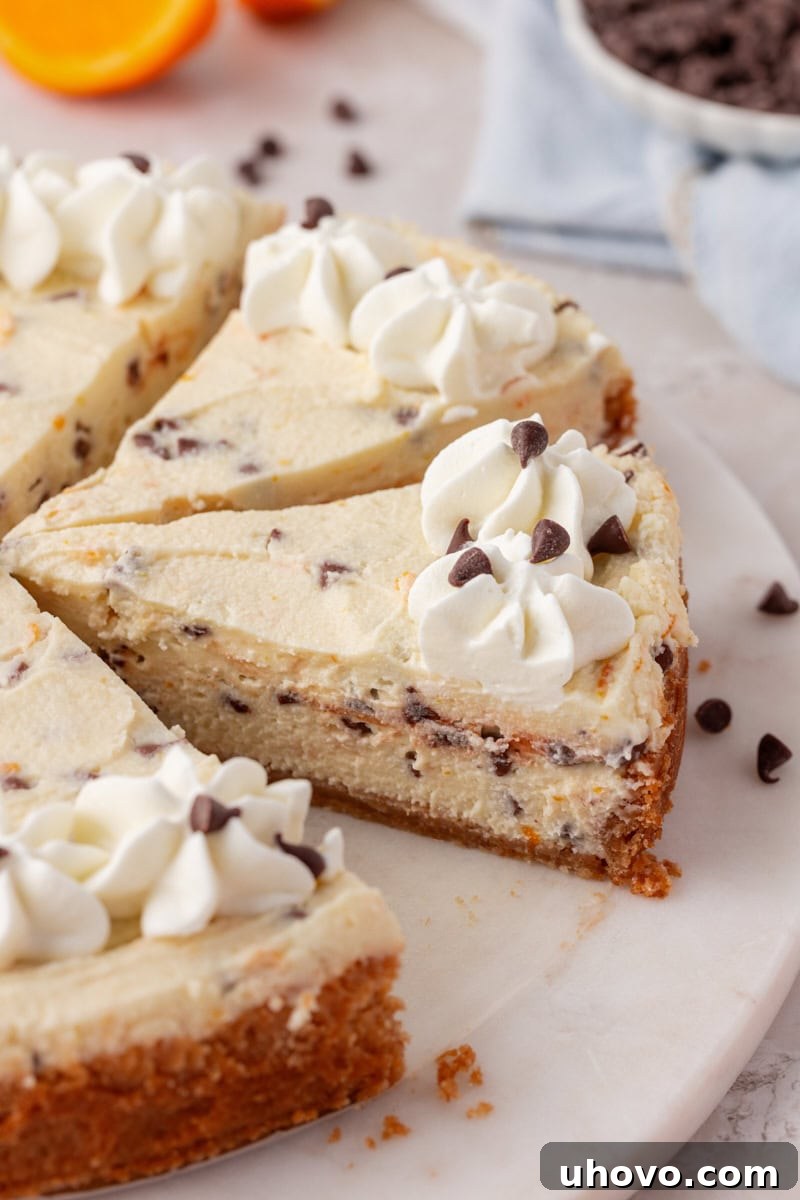 partially sliced cannoli cheesecake topped with whipped cream and mini chocolate chips