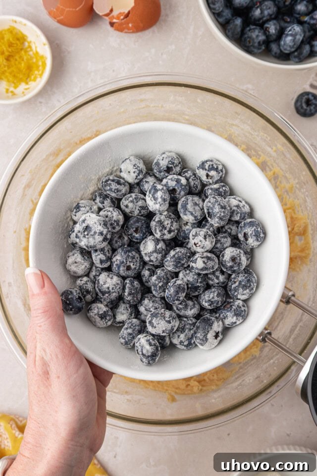 blueberries tossed with flour before being added to cake batter