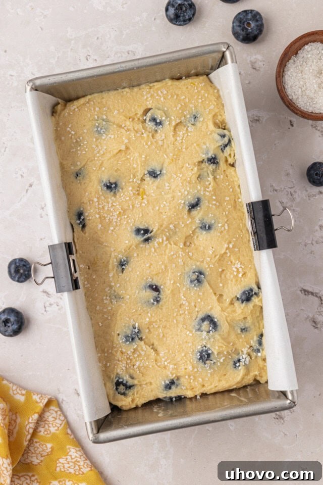 overhead view of blueberry ricotta cake in a loaf pan ready to go into the oven