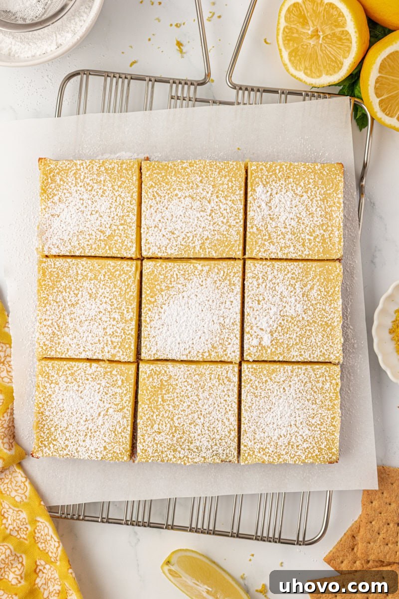 Tangy Lemon Icebox Bars Recipe — Cool, Zesty Dessert with Shortbread Crust 7 overhead view of lemon icebox bars topped with a sprinkle of confectioners' sugar