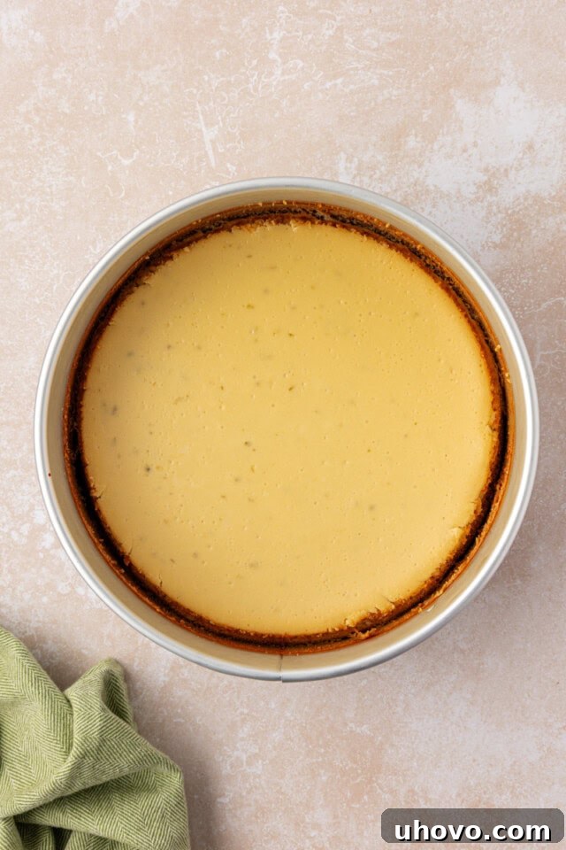 Creamy Key Lime Cheesecake Recipe: Zesty No-Bake Dessert 6 overhead view of freshly baked Key lime cheesecake in a springform pan