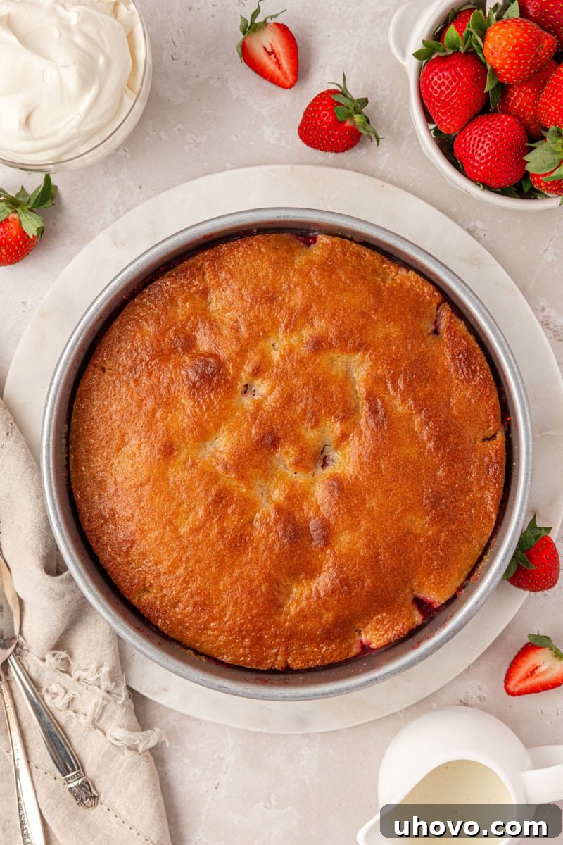 Strawberry Spoon Cake Recipe: Quick No-Bake Dessert for Summer 6 overhead view of freshly baked strawberry spoon cake in a round cake pan