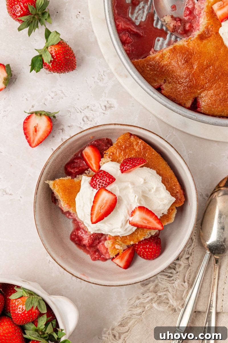 Strawberry Spoon Cake Recipe: Quick No-Bake Dessert for Summer 8 overhead view of a serving of strawberry spoon cake topped with whipped cream and fresh strawberries