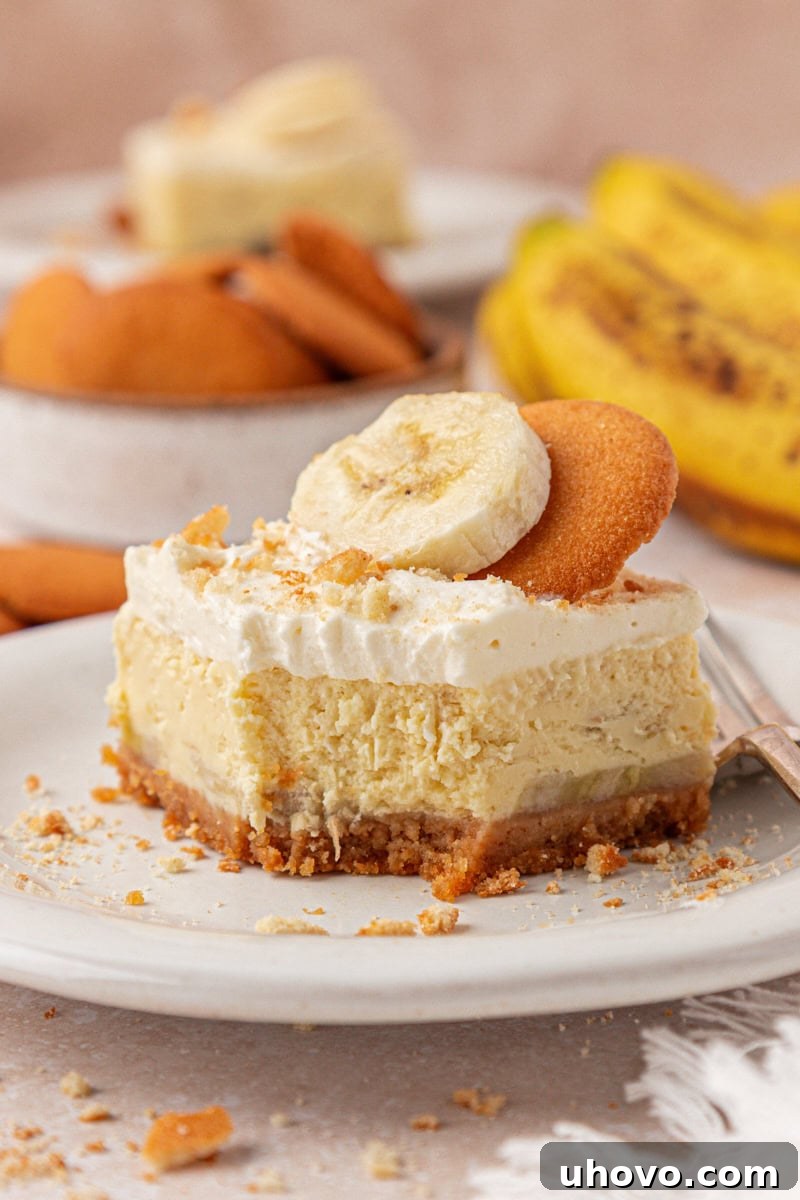 Creamy Banana Pudding Cheesecake Bars 2 a banana pudding cheesecake bar featuring layers of vanilla wafer crust, creamy banana cheesecake filling, and whipped cream