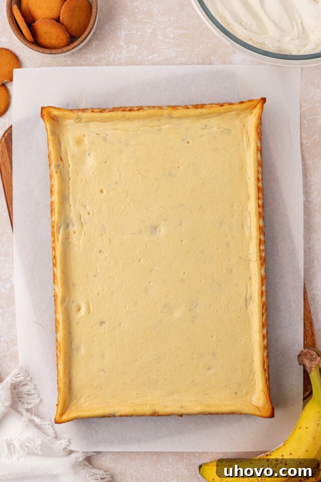 Creamy Banana Pudding Cheesecake Bars 7 chilled banana pudding cheesecake bars before cutting into bars