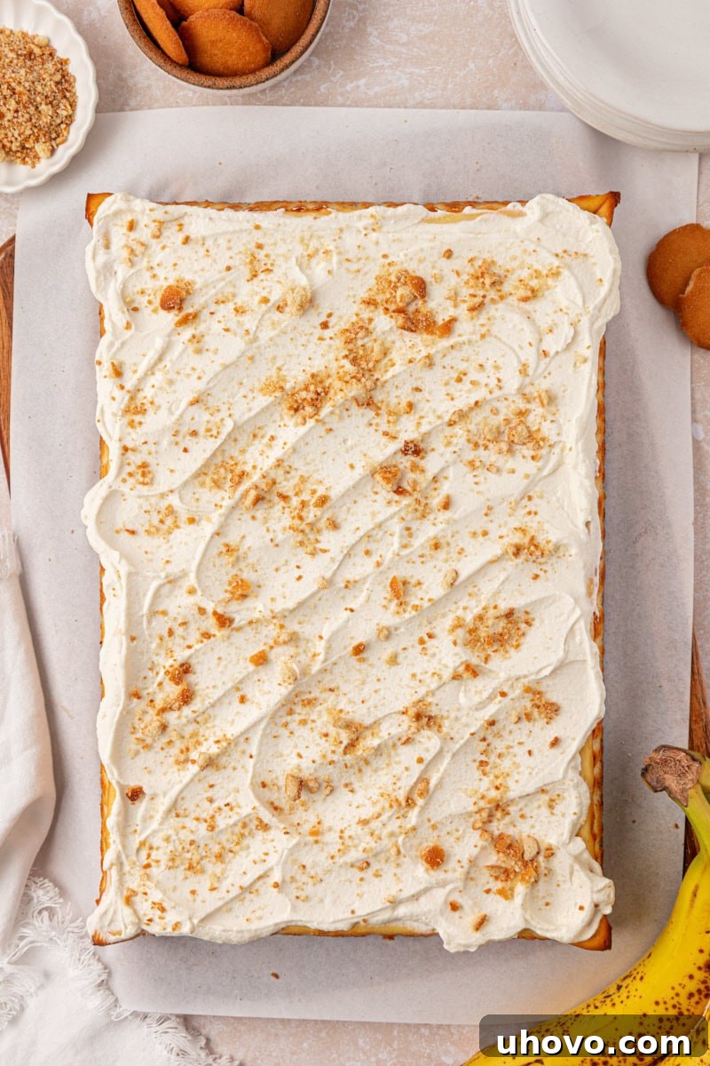 Creamy Banana Pudding Cheesecake Bars 8 overhead view of banana pudding cheesecake bars topped with whipped cream and vanilla wafer crumbs