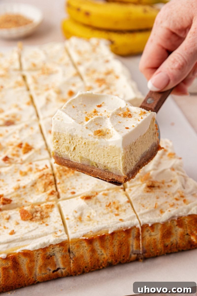 Creamy Banana Pudding Cheesecake Bars 9 a banana pudding cheesecake bar on a serving spatula with the remaining bars in the background