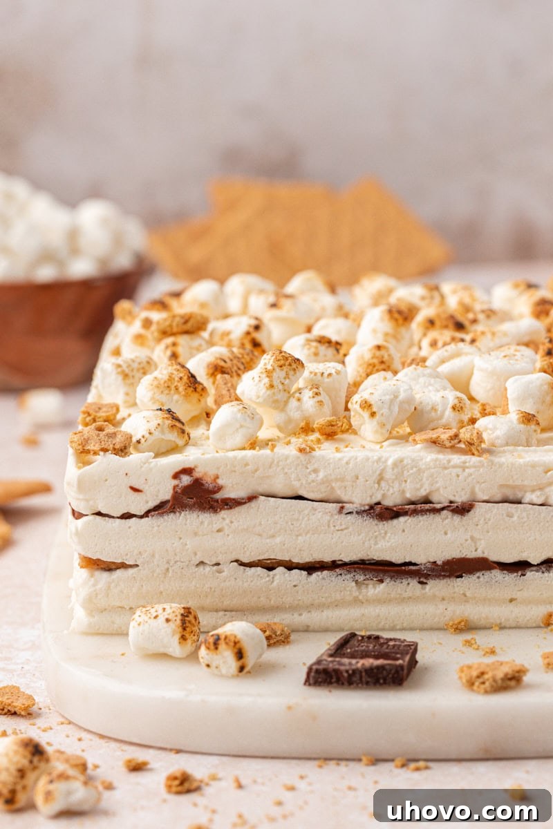 No-Bake S'mores Icebox Cake 8 s'mores icebox cake garnished with toasted marshmallows and graham cracker crumbs
