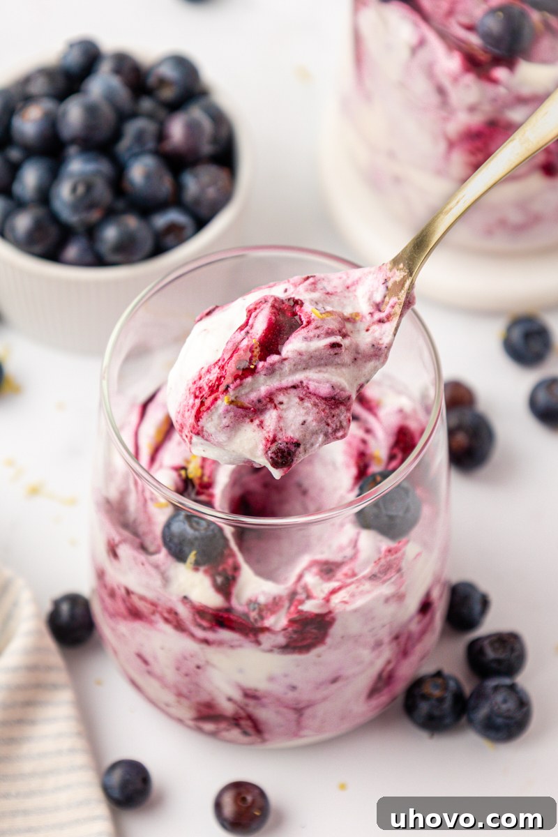 Creamy Blueberry Fool: Classic British Dessert Recipe 10 a spoonful of blueberry fool showing the swirl of blueberry purée in the whipped cream