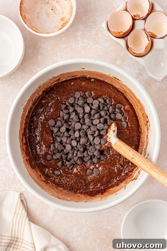 Fudgy Brownies Made with Brown Butter 6 chocolate chips added to brownie batter