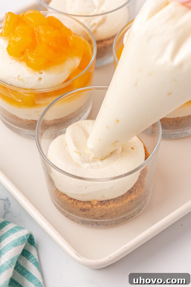 no-bake cheesecake filling being piped onto  a graham cracker crust in a dessert glass