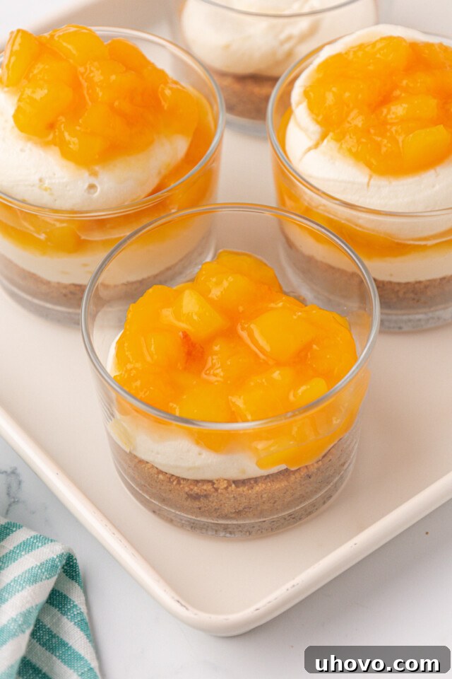 peach compote spooned over no-bake cheesecake filling and graham cracker crust in a dessert glass