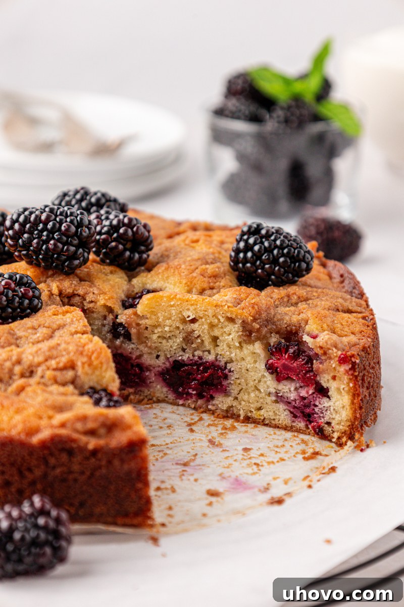 Warm Blackberry Buckle with Cinnamon Crumb Topping 2 partially sliced blackberry buckle with fresh berries and a chunky crumb topping