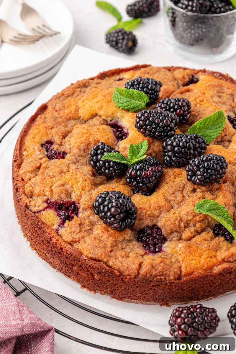 Warm Blackberry Buckle with Cinnamon Crumb Topping 10 old-fashioned blackberry buckle topped with a chunky cinnamon crumb