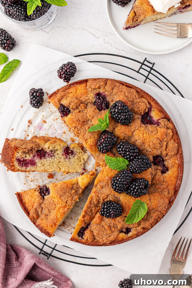 Warm Blackberry Buckle with Cinnamon Crumb Topping 11 partially sliced blackberry buckle with plenty of berries and a chunky crumb topping