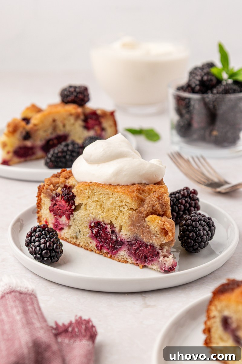 Warm Blackberry Buckle with Cinnamon Crumb Topping 12 a slice of blackberry buckle filled with fresh berries and topped with a chunk cinnamon crumb