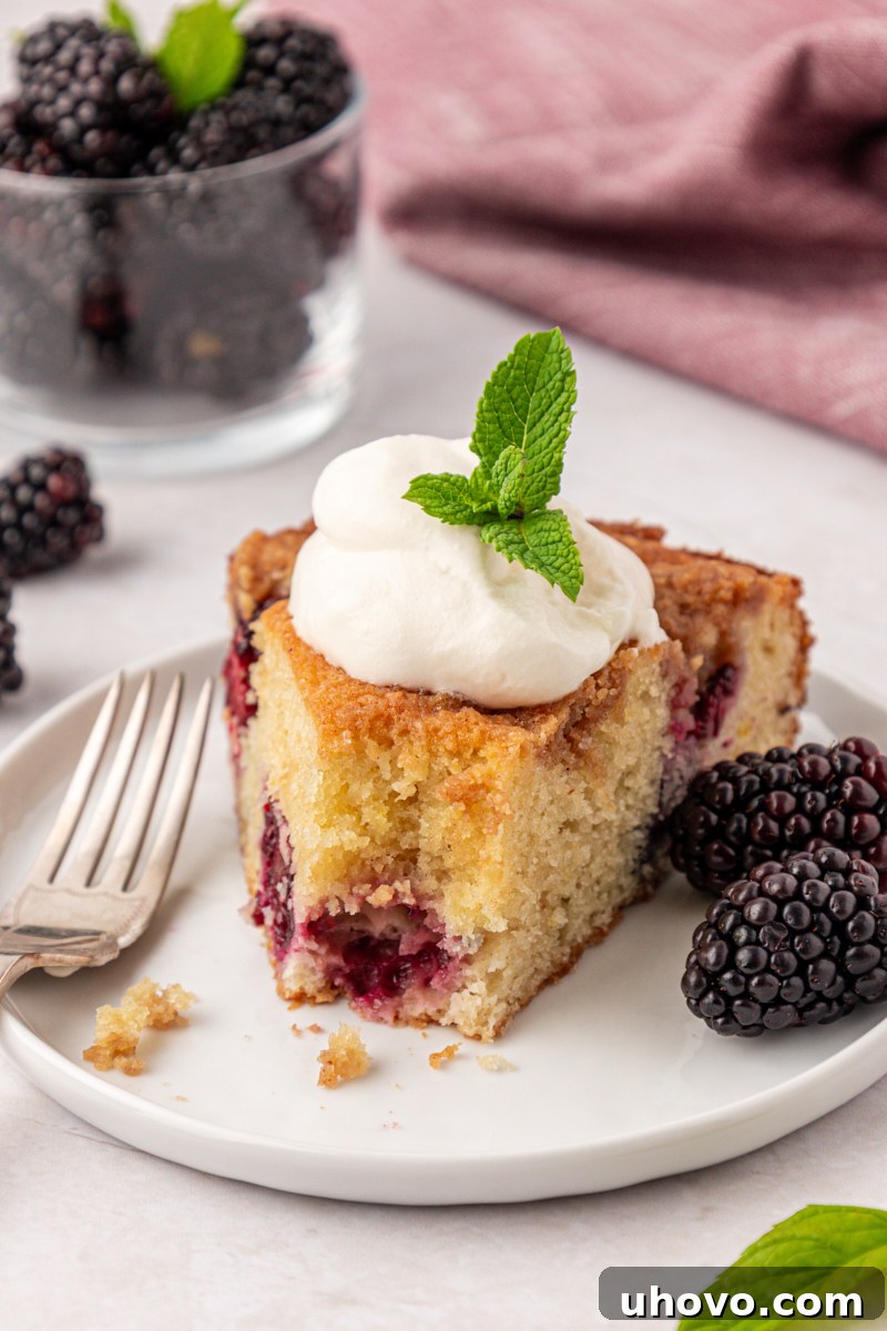 Warm Blackberry Buckle with Cinnamon Crumb Topping 13 a slice of blackberry buckle topped with whipped cream and mint leaves