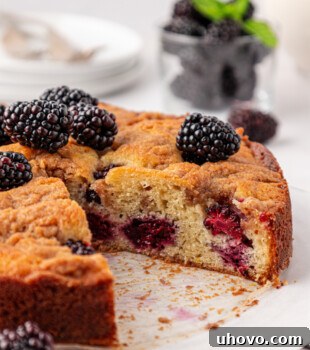 Warm Blackberry Buckle with Cinnamon Crumb Topping 18 partially sliced blackberry buckle with fresh berries and a chunky crumb topping