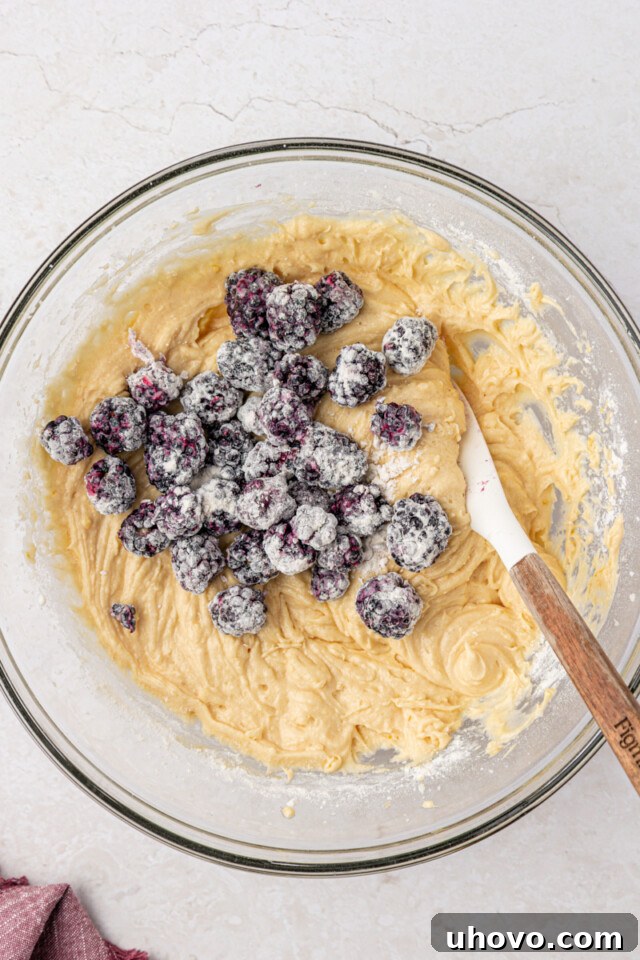 Warm Blackberry Buckle with Cinnamon Crumb Topping 6 blackberries added to cake batter