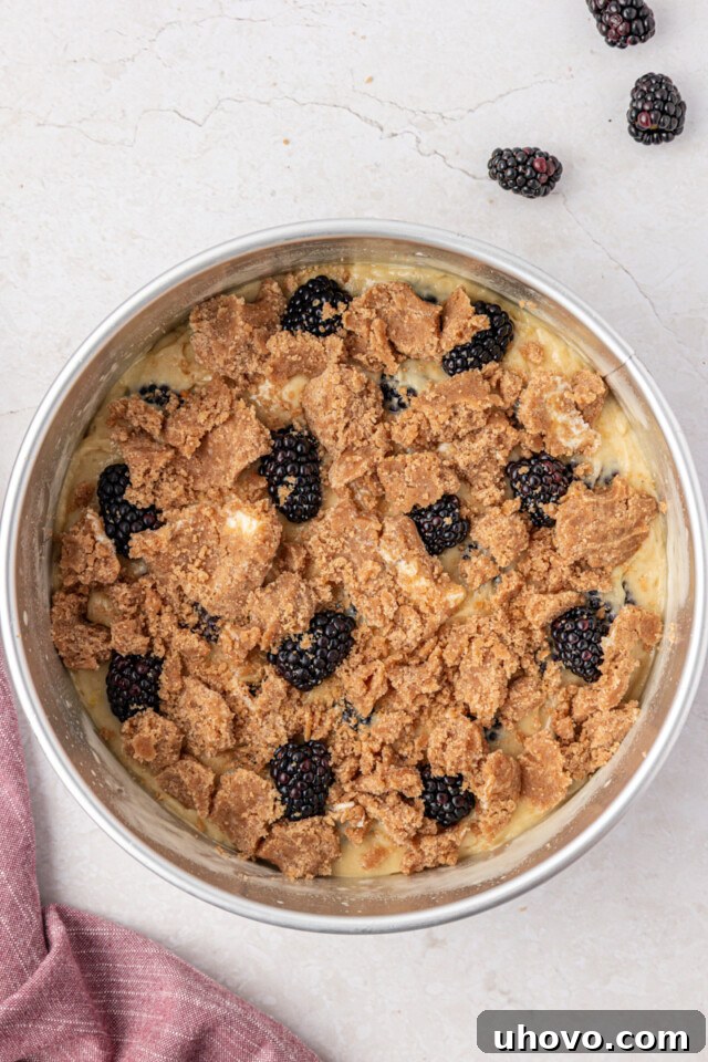 Warm Blackberry Buckle with Cinnamon Crumb Topping 8 overhead view of crumb-topped blackberry buckle in a springform pan before baking