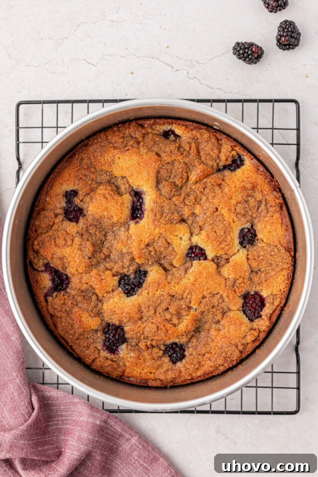 Warm Blackberry Buckle with Cinnamon Crumb Topping 9 overhead view of freshly baked blackberry buckle in a springform pan set on a wire rack