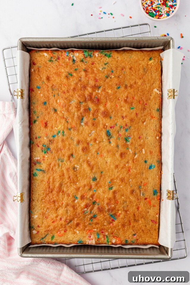 Party-Ready Funfetti Sheet Cake Recipe 7 freshly baked funfetti sheet cake in a 9x13 pan