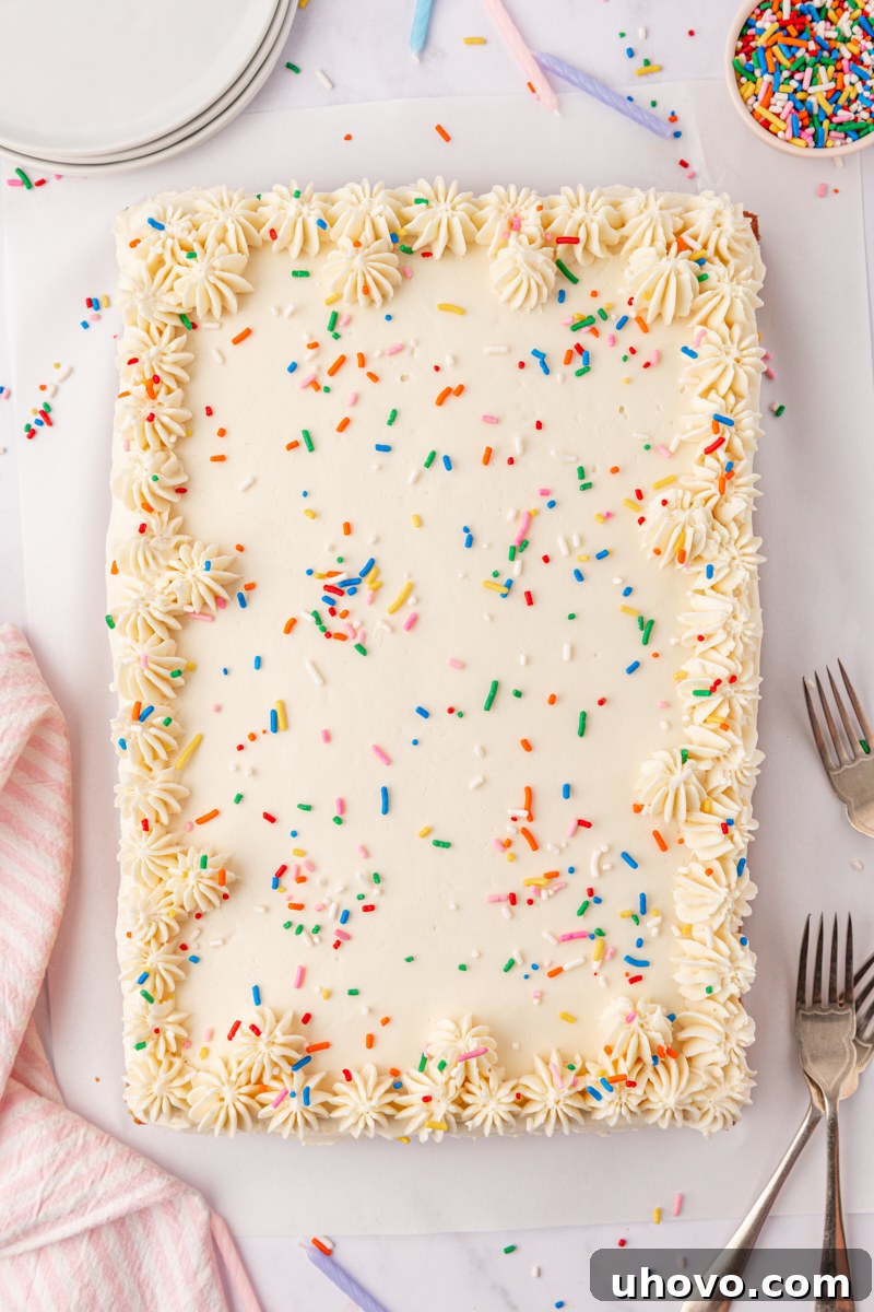 Party-Ready Funfetti Sheet Cake Recipe 8 overhead view of frosted funfetti sheet cake decorated with more sprinkles