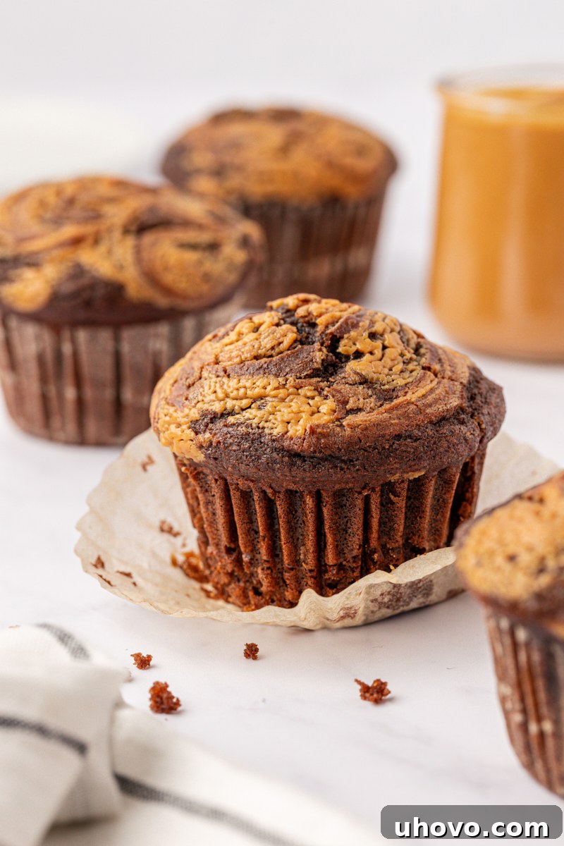 Homemade Chocolate Peanut Butter Swirl Muffins 2 a rich chocolate muffin swirled with peanut butter