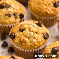 Banana Oatmeal Chocolate Chip Muffins