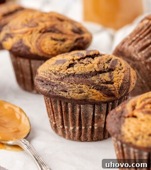 Homemade Chocolate Peanut Butter Swirl Muffins 15 close up of a chocolate peanut butter muffin with a peanut butter swirl