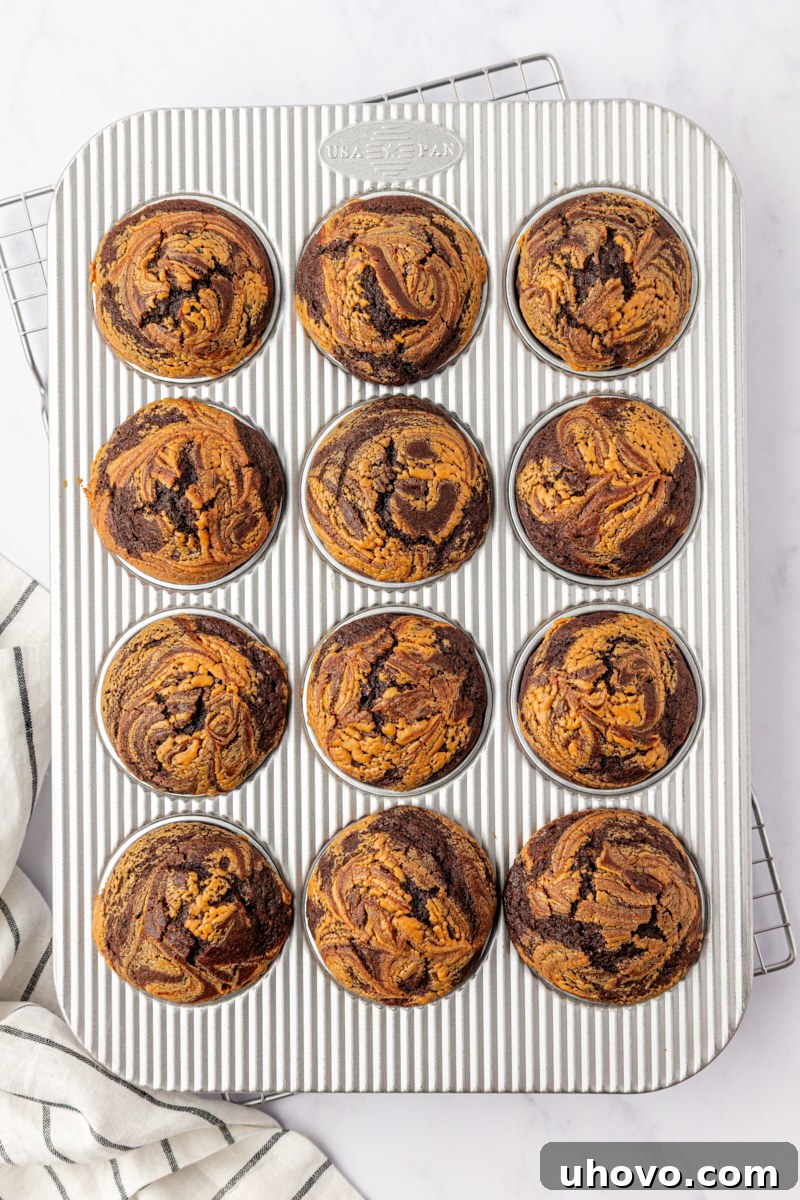Homemade Chocolate Peanut Butter Swirl Muffins 8 overhead view of freshly baked chocolate peanut butter swirl muffins in a muffin pan