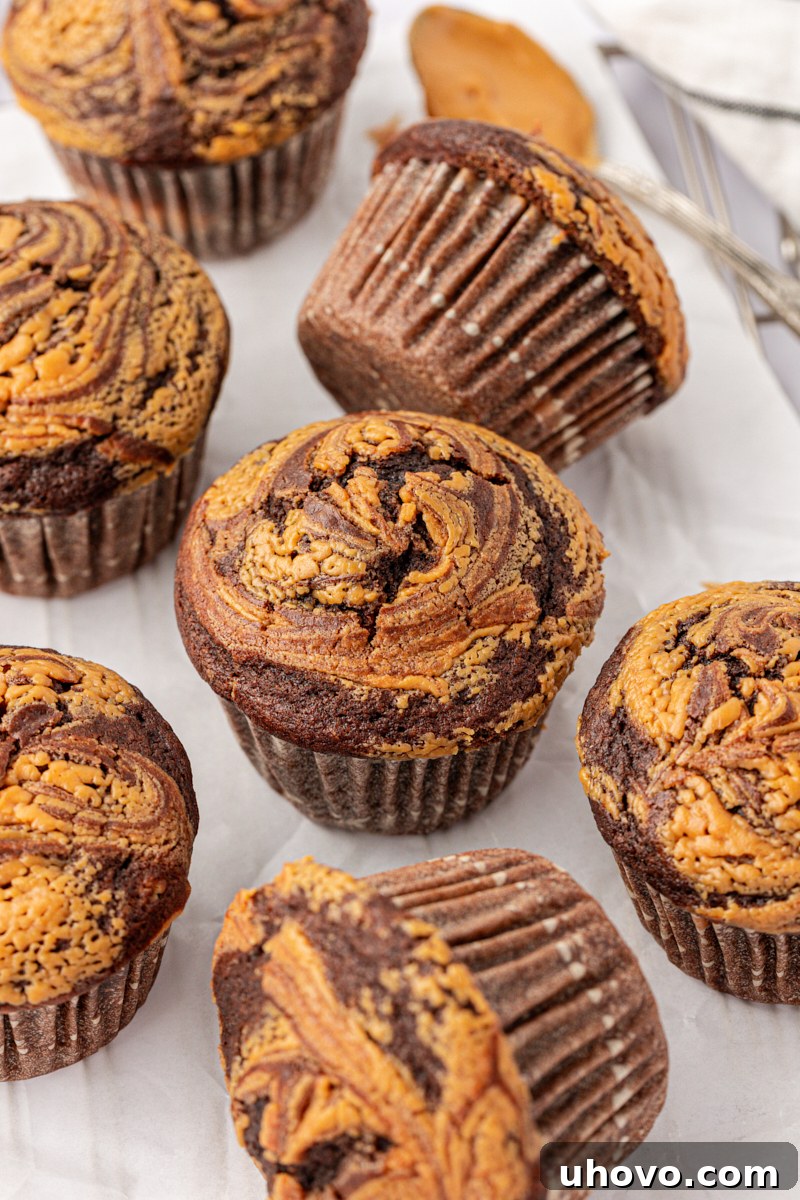 Homemade Chocolate Peanut Butter Swirl Muffins 9 several chocolate peanut butter muffins featuring a swirl of peanut butter in a rich chocolate muffin