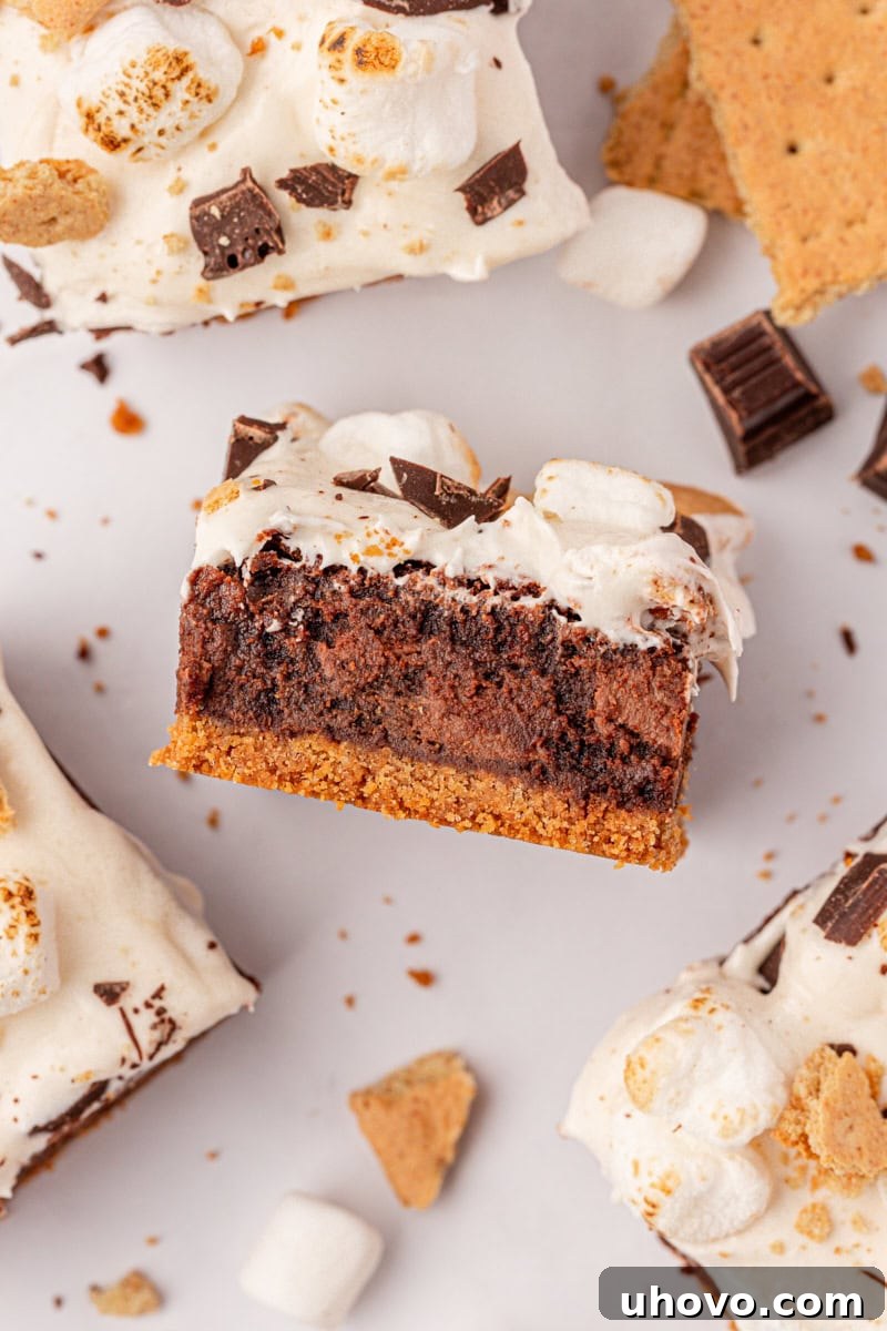 overhead view of a s'mores brownie showing the layers of graham cracker crust, fudgy brownies, and marshmallow frosting