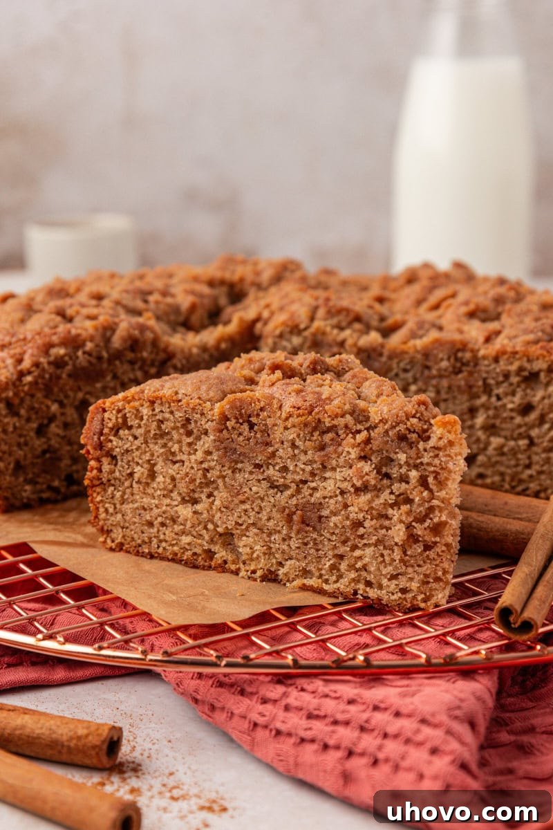 Cinnamon Streusel Muffin Cake Recipe