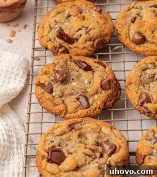 Gooey Loaded Chocolate Chip Cookies 16 bakery-style loaded chocolate chip cookies on a wire rack