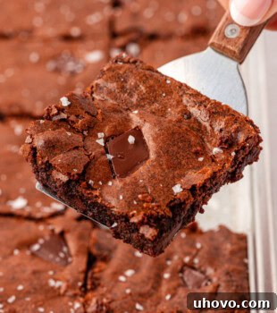 close-up of a brownie showing its chewy edges, crackly top, and fudgy center