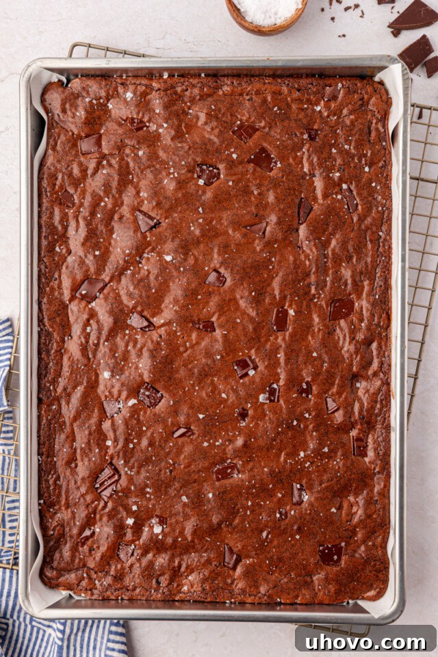 freshly baked brownies in a sheet pan with flaky salt sprinkled on top