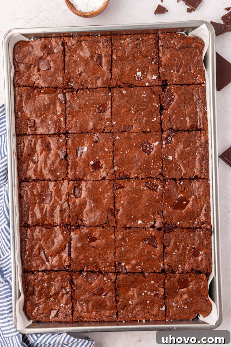 a large batch of fudgy brownies cut into squares