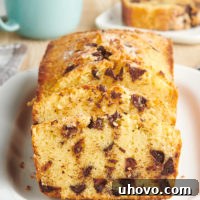 Chocolate Chip Loaf Cake