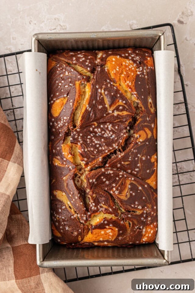 Classic Marble Loaf Cake Recipe 9 freshly baked marble loaf cake in a loaf pan