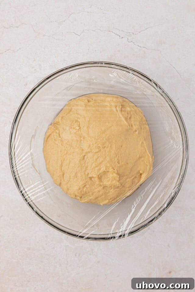 Overnight Cinnamon Roll Recipe for Fluffy Morning Pastry 4 overhead view of cinnamon roll dough before the first rise