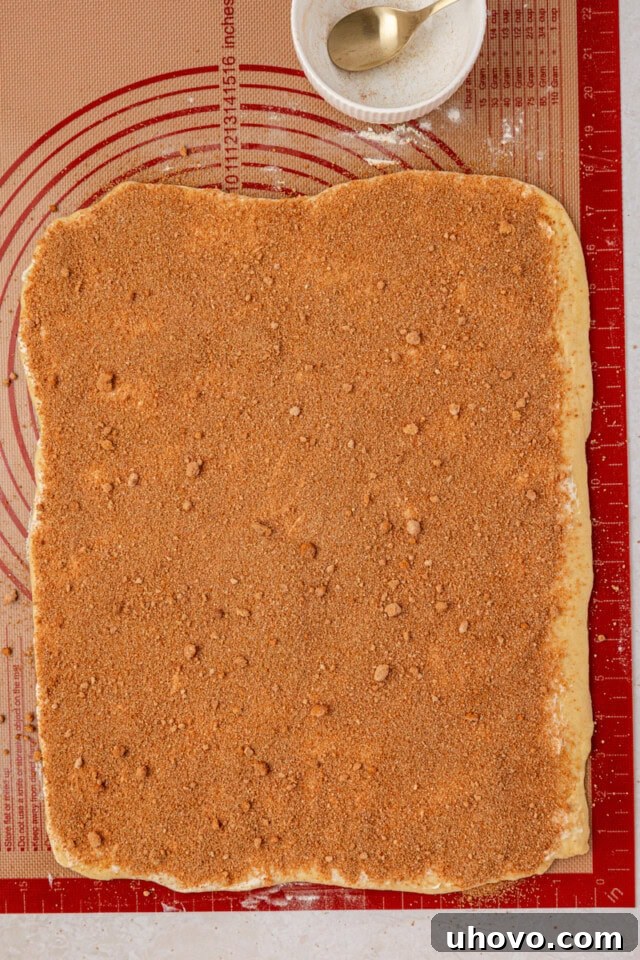Overnight Cinnamon Roll Recipe for Fluffy Morning Pastry 6 yeast dough rolled into a rectangle and covered in softened butter, brown sugar, and cinnamon