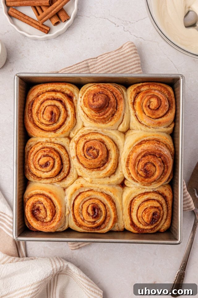 Overnight Cinnamon Roll Recipe for Fluffy Morning Pastry 9 freshly baked cinnamon rolls in a square baking pan