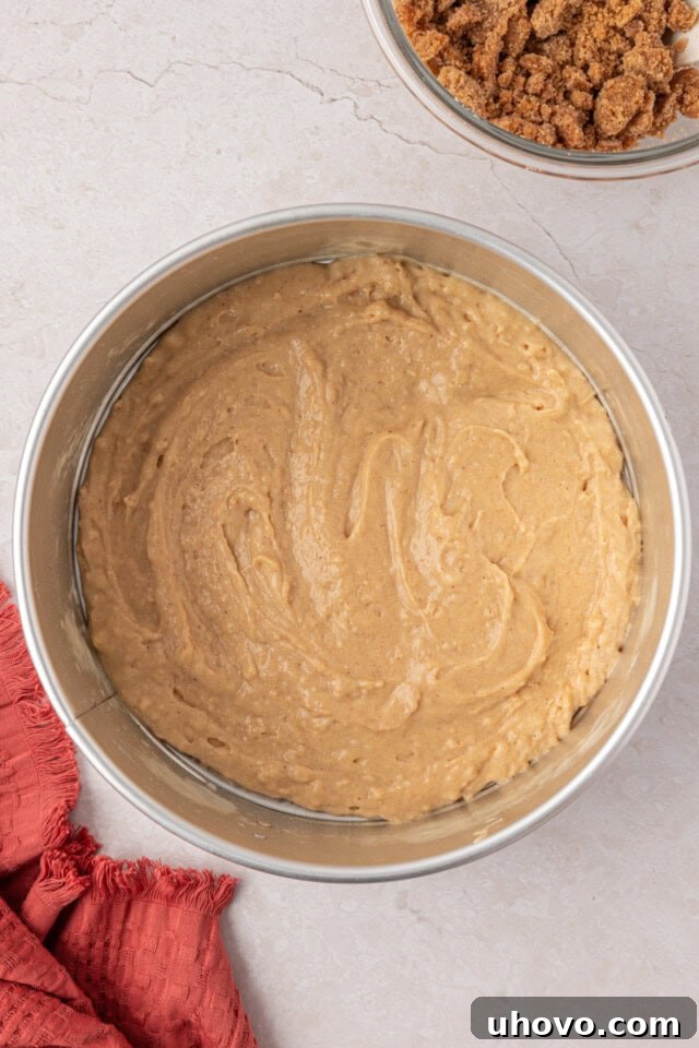 cinnamon muffin batter spread in a springform pan